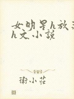 女明星h放荡系h文小说封面