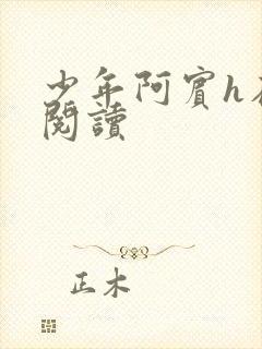 少年阿宾h在线阅读