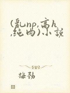 (乱np,高h,纯肉)小说