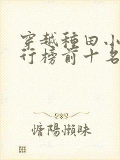 穿越种田小说排行榜前十名完结篇