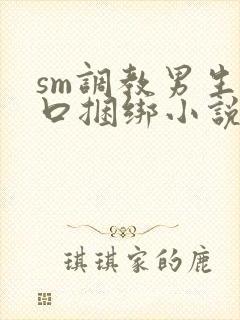 sm调教男生重口捆绑小说