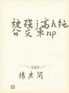 被强j高h纯肉公交车np