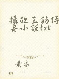 摄政王的侍爱逃妻小说txt