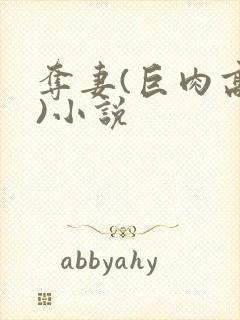 夺妻(巨肉高h)小说