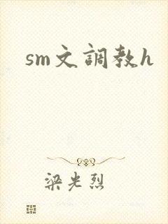 sm文调教h