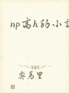 np高h的小说封面