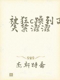 被狂c躁到高潮失禁涩涩封面