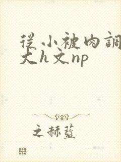 从小被肉调教到大h文np封面