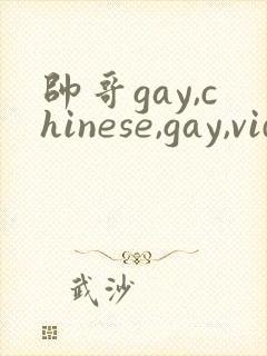 帅哥gay,chinese,gay,videos,gv,fees