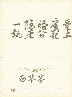 一隐婚蜜爱:偏执老公宠上瘾