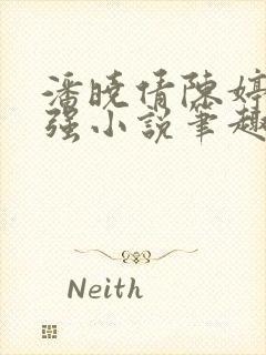 潘晓倩陈婷张志强小说笔趣阁封面