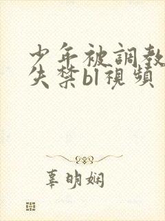 少年被调教爽到失禁bl视频