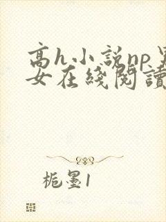 高h小说np男女在线阅读
