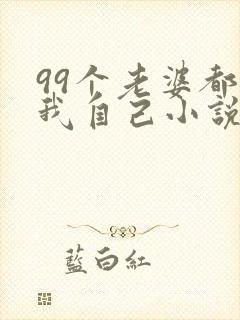 99个老婆都是我自己小说免费阅读