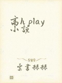 高h play小说