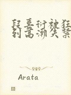 段嘉衍被狂c躁到高潮失禁