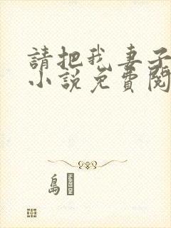 请把我妻子带走小说免费阅读