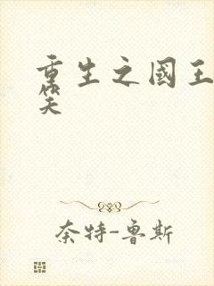 重生之国王的微笑