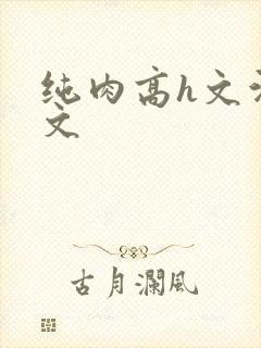 纯肉高h文污黄文