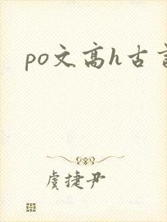 po文高h古言封面