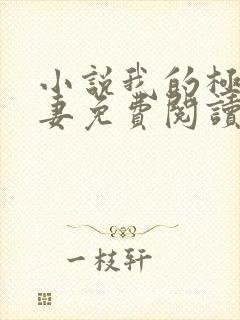 小说我的极品娇妻免费阅读