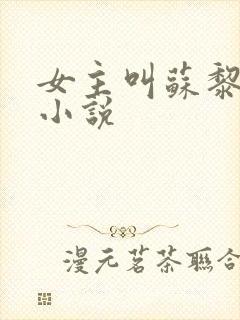 女主叫苏黎儿的小说