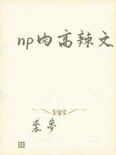 np肉高辣文
