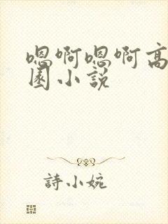 嗯啊嗯啊高h校园小说封面