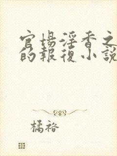 官场淫香之娇妻的报复小说