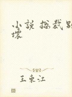 小说 总裁别太坏