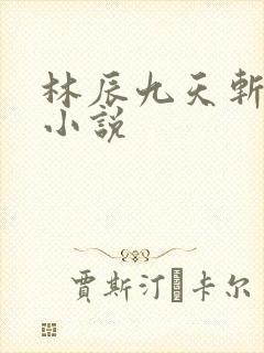 林辰九天斩神诀小说封面