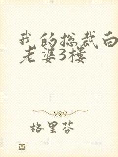 我的总裁白富美老婆3楼