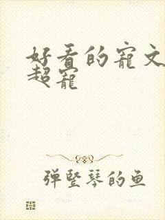 好看的宠文小说超宠