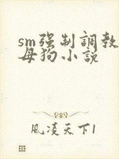 sm强制调教小母狗小说