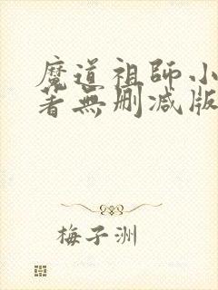 魔道祖师小说原著无删减版封面
