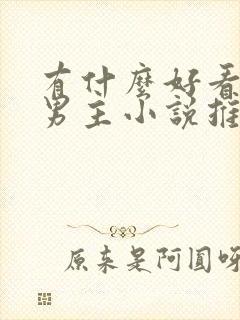 有什么好看的双男主小说推荐