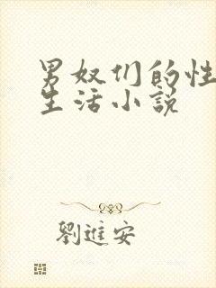 男奴们的性调教生活小说