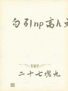 勾引np高h文封面