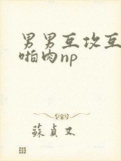 男男互攻互受h啪肉np