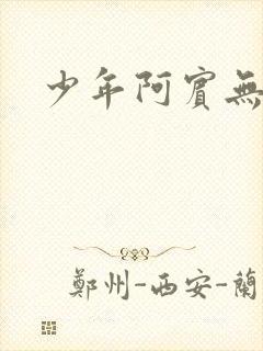 少年阿宾无