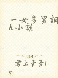 一女多男调教高h小说封面