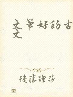 文笔好的古言h文