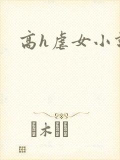 高h虐女小说封面