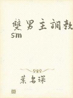 双男主调教小说sm