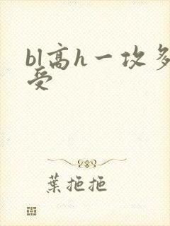 bl高h一攻多受