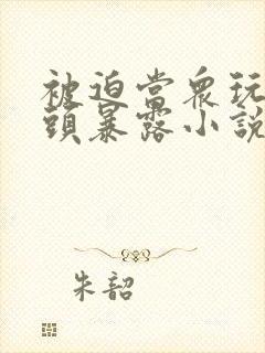 被迫当众玩弄奶头暴露小说