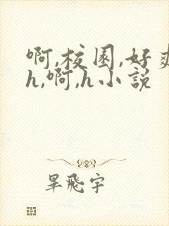 啊,校园,好爽h,啊,h小说封面