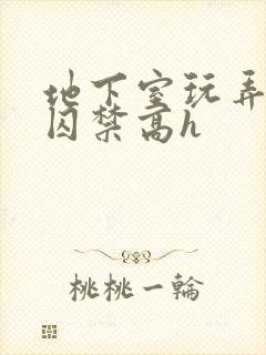 地下室玩弄调教囚禁高h