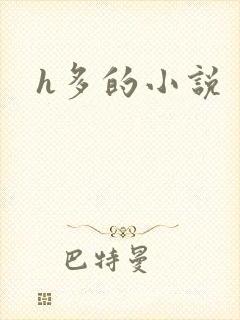 h多的小说