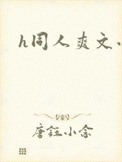 h同人爽文小说封面